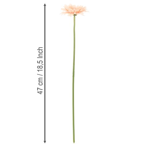 Gerbere artificiali color albicocca, 47 cm, 6 pezzi | Floristik24.it