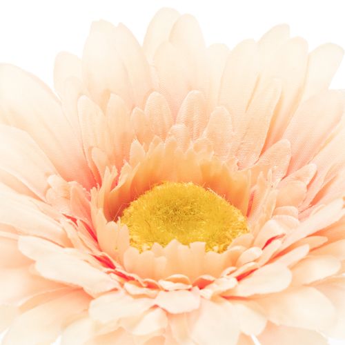 Gerbere artificiali color albicocca, 47 cm, 6 pezzi | Floristik24.it