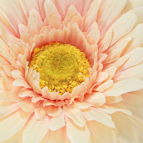 Prodotto Fiori artificiali Gerbera Albicocca 47cm