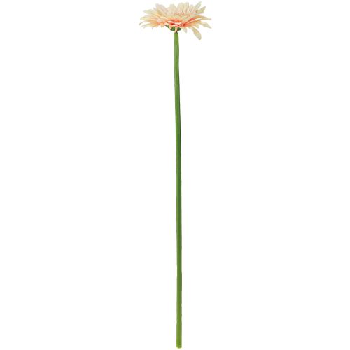 Prodotto Fiori artificiali Gerbera Albicocca 47cm