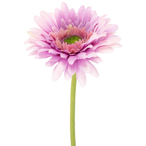 Gerbere artificiali da giardino, viola, 47 cm, 6 pezzi acquistare | Floristik24.it