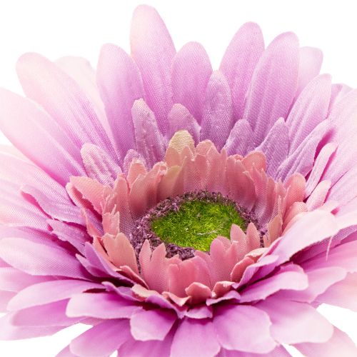 Gerbere artificiali da giardino, viola, 47 cm, 6 pezzi | Floristik24.it