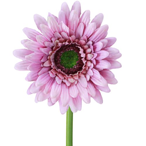 Fiori Artificiali Gerbera Giardino Fiori Artificiali Viola 47cm