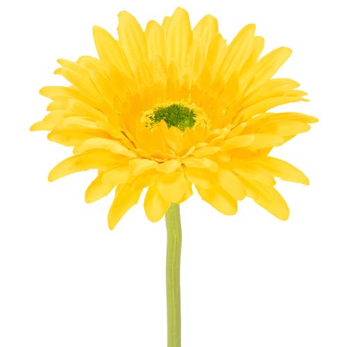 Gerbere artificiali, giallo sole, fiori da giardino, 47 cm, 6 pezzi acquistare | Floristik24.it