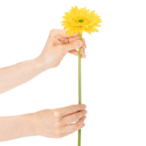 Gerbere artificiali, giallo sole, fiori da giardino, 47 cm, 6 pezzi | Floristik24.it
