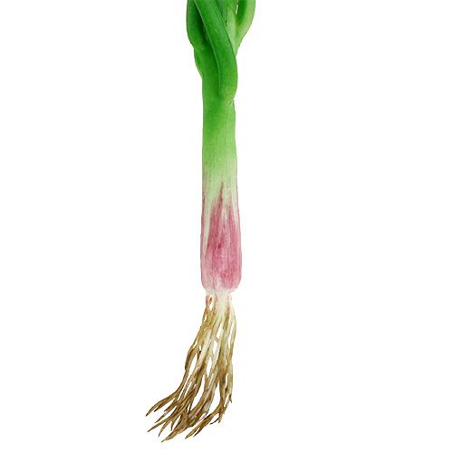 Floristik24 Cipollotto artificiale 30 cm 4 pezzi