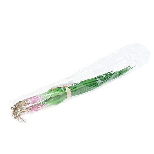 Floristik24 Cipollotto artificiale 30 cm 4 pezzi