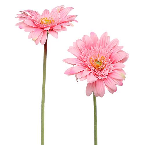 Floristik24 Gerbera artificiale rosa Ø10cm L53cm 6pz