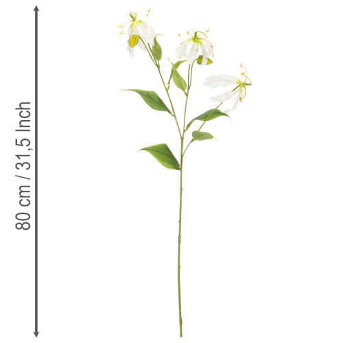 Fiore artificiale Gloriosa, bianco e giallo, elegante ramo fiorito decorativo, 80 cm, 3 pezzi | Floristik24.it