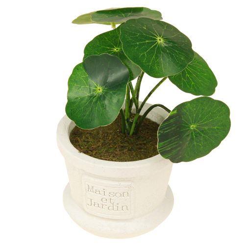 Prodotto Piante verdi artificiali mini piante in vaso 15cm 3pz