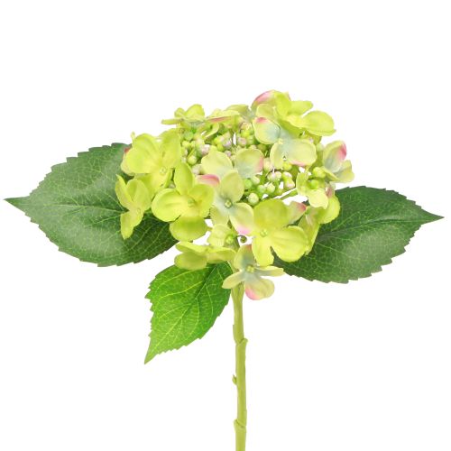 Prodotto Ortensie Artificiali Fiori Verdi Foglie L43cm 2pz