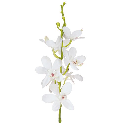 Prodotto Orchidee artificiali fiore bianco Ø3,5–5cm L38cm 2pz