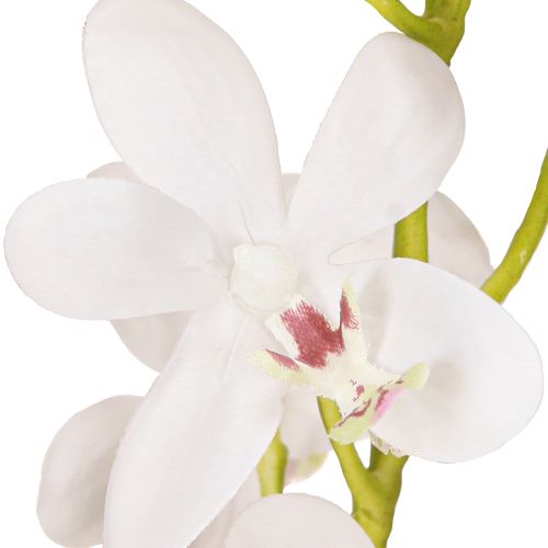 Prodotto Orchidee artificiali fiore bianco Ø3,5–5cm L38cm 2pz
