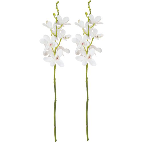 Prodotto Orchidee artificiali fiore bianco Ø3,5–5cm L38cm 2pz