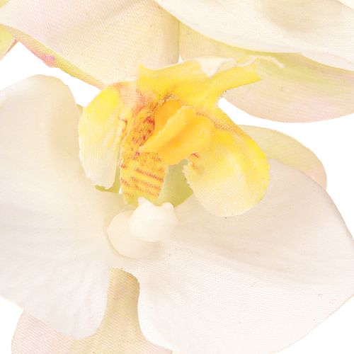 Prodotto Orchidee artificiali in vaso mini orchidee bianche Ø7cm H22cm