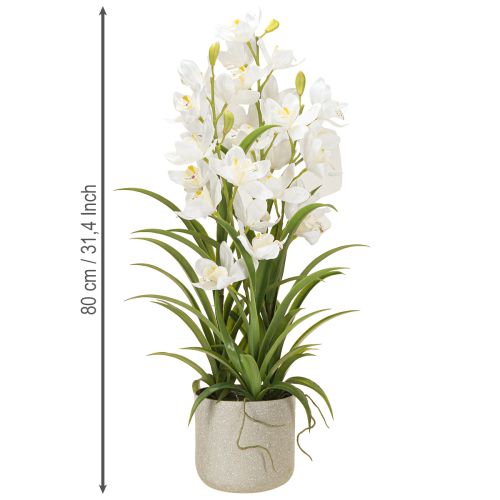 Prodotto Orchidee artificiali in vaso con fiori bianchi H80cm