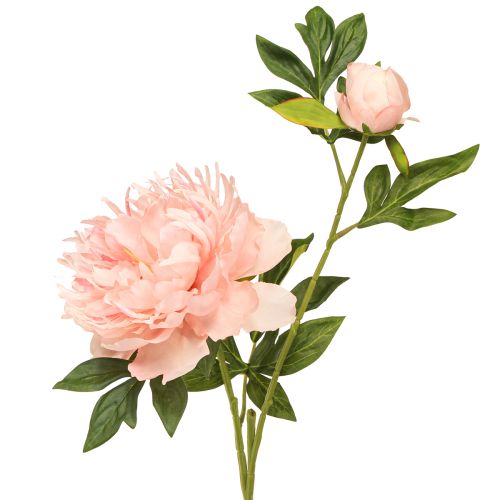 Floristik24 Peonie artificiali Paeonia rosa salmone L60cm 2pz