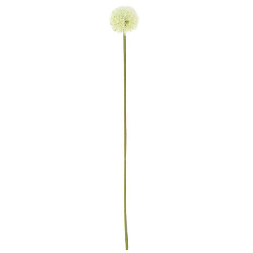 Floristik24 Dente di leone artificiale fiori artificiali bianchi 48 cm 12 pezzi