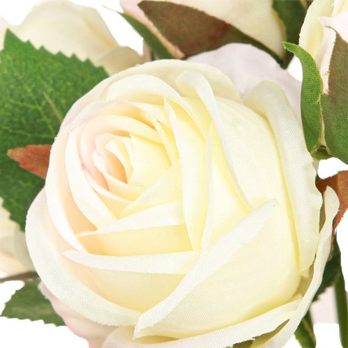 Prodotto Rose artificiali Mazzo di fiori artificiali Crema 36cm 12pz