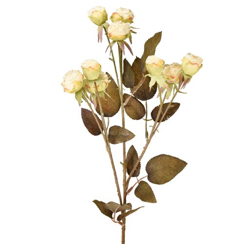 Prodotto Rose artificiali appassite Drylook 9 petali panna 69cm