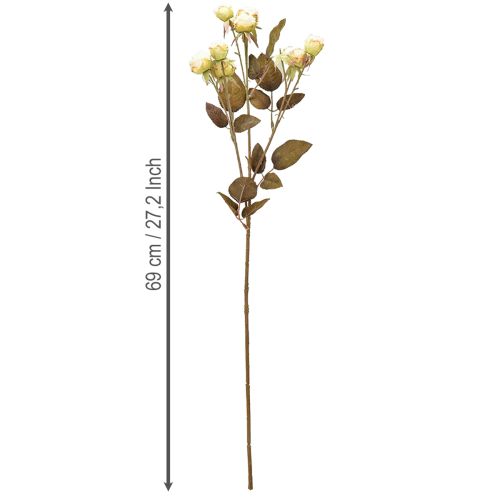 Prodotto Rose artificiali appassite Drylook 9 petali panna 69cm