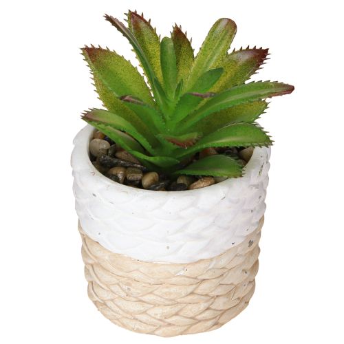 Prodotto Succulente artificiali in vaso di ceramica 12,5 cm 3 pezzi