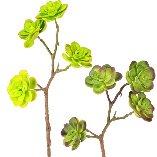 Prodotto Succulente artificiali con gambo verde viola assortite 32cm 2pz