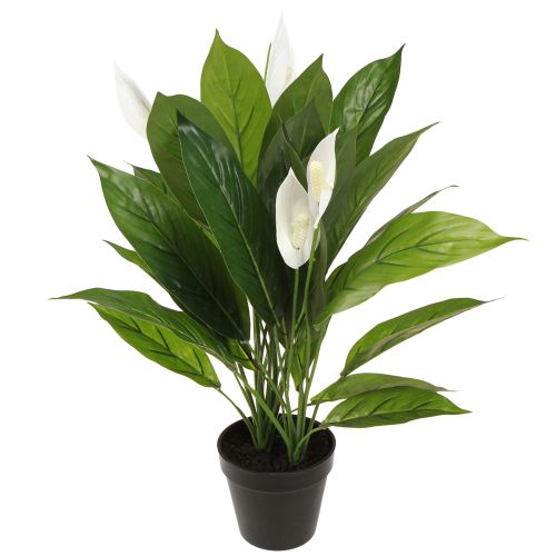 Prodotto Pianta artificiale in vaso Foglia singola Giglio della pace Verde Bianco 55 cm