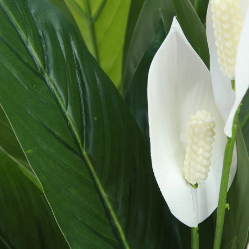 Prodotto Pianta artificiale in vaso Foglia singola Giglio della pace Verde Bianco 55 cm