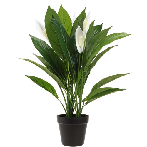 Prodotto Pianta artificiale in vaso Foglia singola Giglio della pace Verde Bianco 55 cm