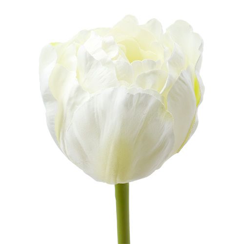 Floristik24 Tulipani artificiali Bianco-Verde 86cm 3 pezzi