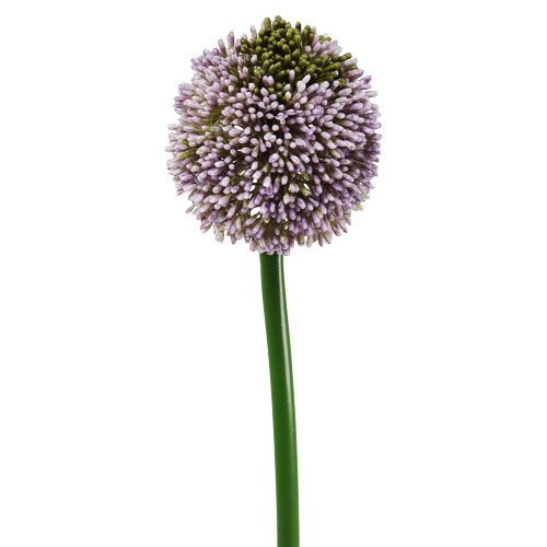 Floristik24 Fiori artificiali Allium Purple Ø10cm L65cm