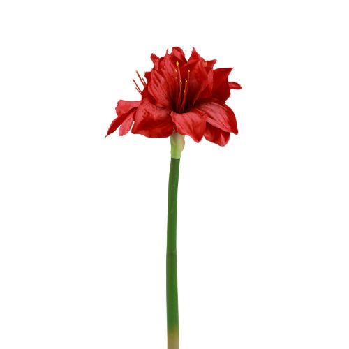 Amaryllis artificiale Fiori di Natale Fiori artificiali rossi L40 cm