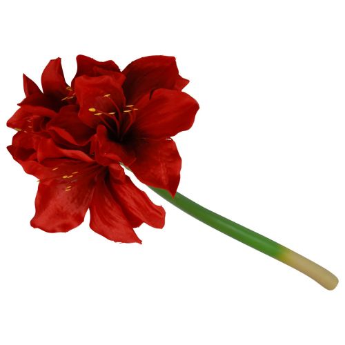 Floristik24 Amaryllis artificiale Fiori di Natale Fiori artificiali rossi L40 cm