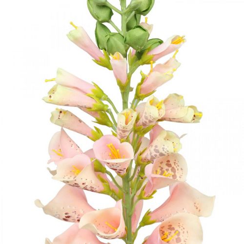 Prodotto Fiore artificiale perenne salmone artificiale fiore stelo fiore H90cm