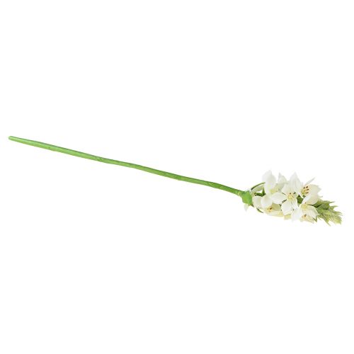Prodotto Fiore artificiale da giardino Milk Star Fiore artificiale bianco 50 cm