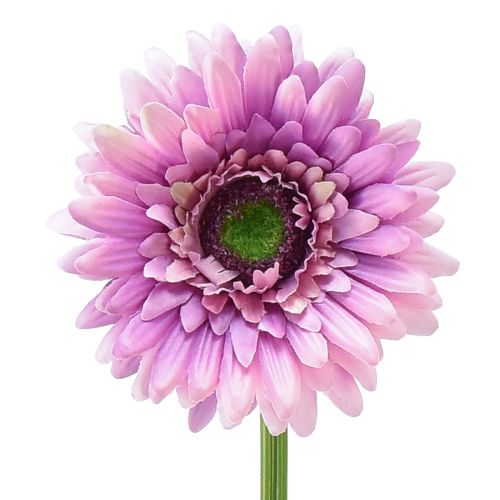 Floristik24 Fiori Artificiali Gerbera Viola 47cm