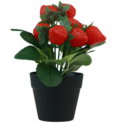 Floristik24 Pianta di fragola artificiale in vaso pianta artificiale 19 cm