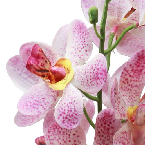 Prodotto Orchidea artificiale Fiore artificiale rosa bianco Orchidea 73 cm