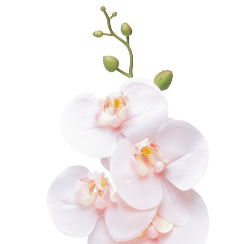 Prodotto Orchidea artificiale rosa Phalaenopsis Real Touch 83 cm