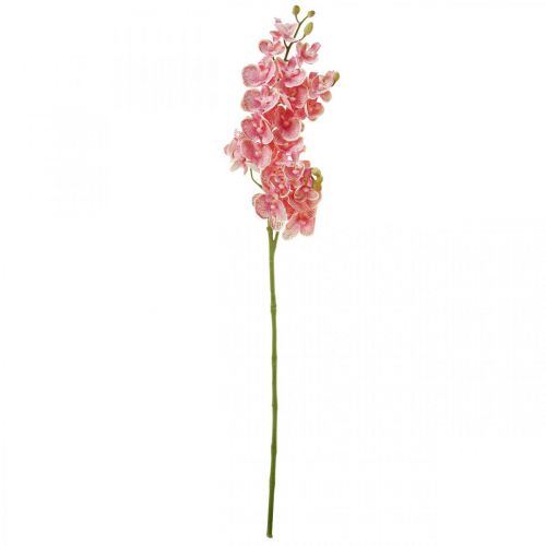 Floristik24 Orchidee artificiali deco fiore artificiale orchidea rosa 71cm