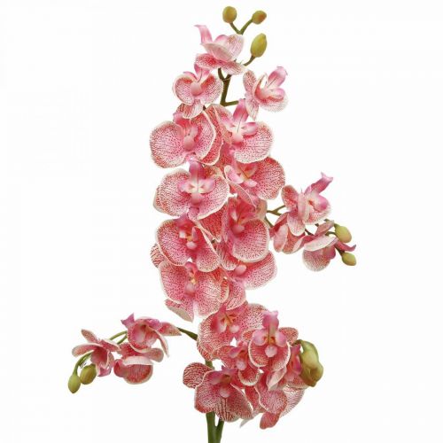 Orchidee artificiali deco fiore artificiale orchidea rosa 71cm