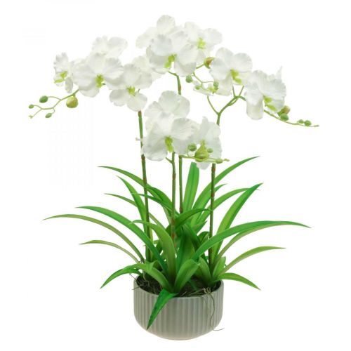 Orchidee artificiali fiori artificiali in vaso bianco 60cm