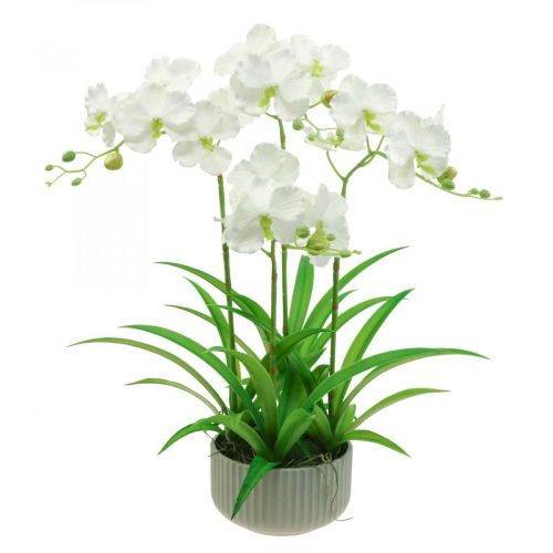 Orchidee artificiali fiori artificiali in vaso bianco  60cm-07749