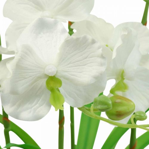 Orchidee artificiali fiori artificiali in vaso bianco 60cm