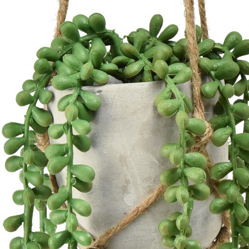 Floristik24 Piante grasse artificiali pendenti in vaso di ceramica da 40 cm