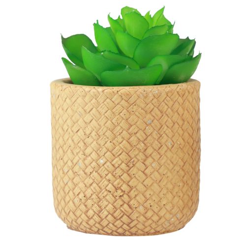 Prodotto Succulente Artificiali in Vaso Piante Artificiali Assortite 10cm 3pz