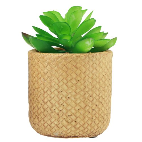 Prodotto Succulente Artificiali in Vaso Piante Artificiali Assortite 10cm 3pz
