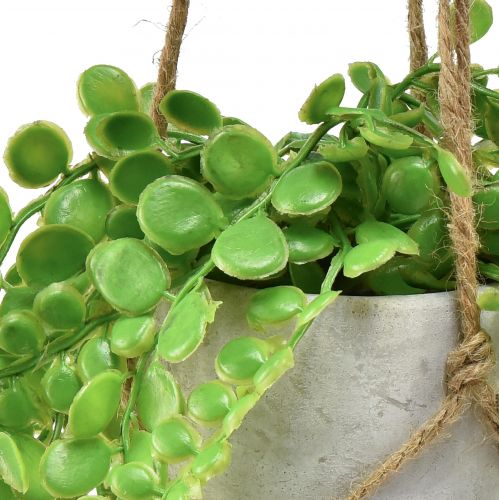 Floristik24 Cesto sospeso per piante succulente in vaso artificiali 46 cm