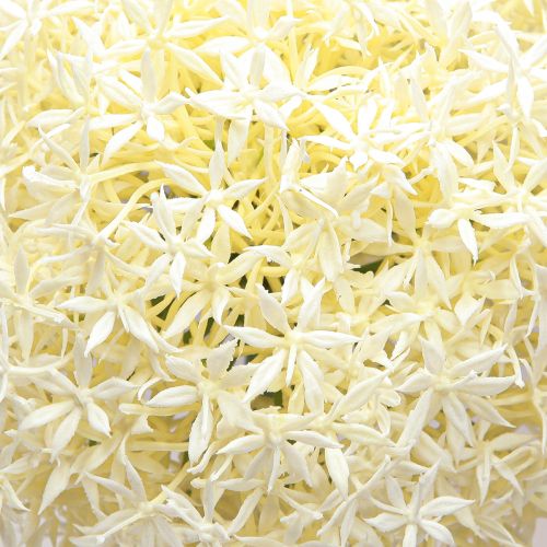 Prodotto Cipolla ornamentale bianca allium artificiale crema Ø18cm L90cm